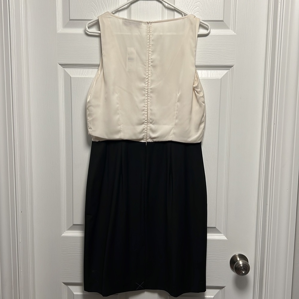 LOFT Dress - Picture 5 of 6